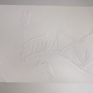 Arc'teryx Bird Die Cut Sticker